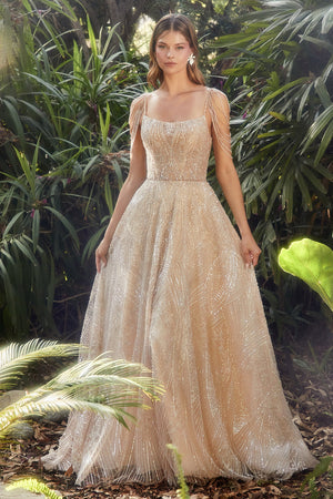 **Enchanted Dreams: Shimmer in Tulle and Embellishments**
