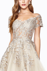 Enchanting Lace and Rhinestone Masterpiece by Cinderella Divine