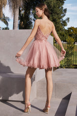 Cinderella Divine CD0213: Embroidered V-Neckline A-Line Tulle Gown