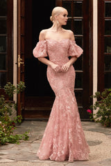 **Cinderella Divine CD959: Enchanting Elegance for Every Occasion**