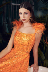 Cinderella Divine KV1076: Enchanting Feather Embellished A-Line Dress for Formal Occasions