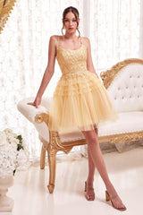 **Cinderella Divine: Enchanting Pleated Dress for Unforgettable Occasions**