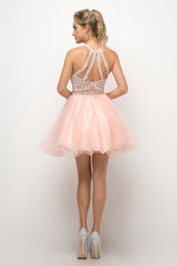 Enchanting Cinderella Divine: Vintage Glamour for Prom, Homecoming, and Beyond