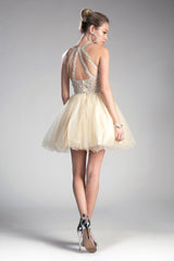 Unveil Your Inner Cinderella: Timeless Elegance with the Cinderella Divine UJ0119