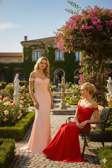 Elegant Form Fitting Evening Dress MQ1529