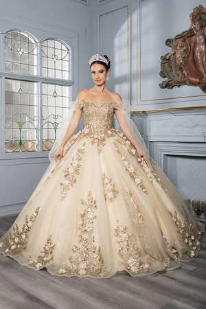Plus Size Formal Quinceanera Gown by LK280