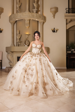 Layla K LK282 Floral Quinceañera Ball Gown