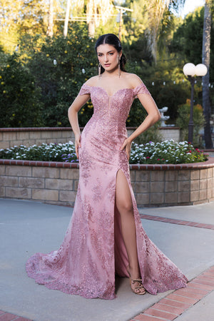 Rose Gold Quinceanera Mom Dress by MQ2158