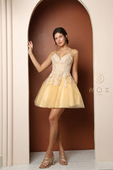 NoxAnabel: Alluring Lace Appliqué Dress for Unforgettable Occasions