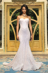 **Portia & Scarlett's Shimmering Corset-Inspired Gown for Enchanting Occasions**