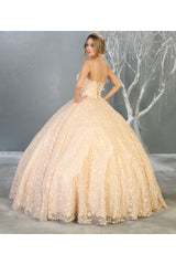 Embroidered Foliage Quinceanera Ball Gown