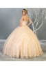 Embroidered Foliage Quinceanera Ball Gown