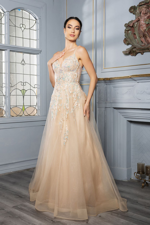 Formal Dress Plunging V-Neck A-Line Prom Gown By May Queen MQ2165 - CHAMPAGNE / 4 - Dress