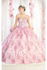 Layla K LK190 3D Floral Applique Ball Gown - BLUSH / 4