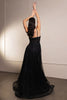 Long Evening Dress V-Neck Sequin A-Line Gown By Royal Queen RQ8143 - Dress