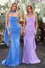 Long Formal Dress Scoop Neck Evening Gown By Ladivine 7433 - Prom