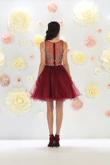 Party Cocktail Dress