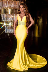Captivating Hollywood Glamour: Portia and Scarlett's V-Neck Mermaid Gown