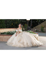 Quinceanera Dress Sweetheart Sleeveless Ball Gown By Layla K LK275 - Dress