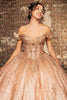 Sweet 16 Dress Off Shoulder Floral Lace Prom Gown By Layla K LK265 - Dress