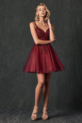 **Enchanted Evenings Embroidered Stone Bodice Babydoll Dress: A Flirty and Flattering Statement**