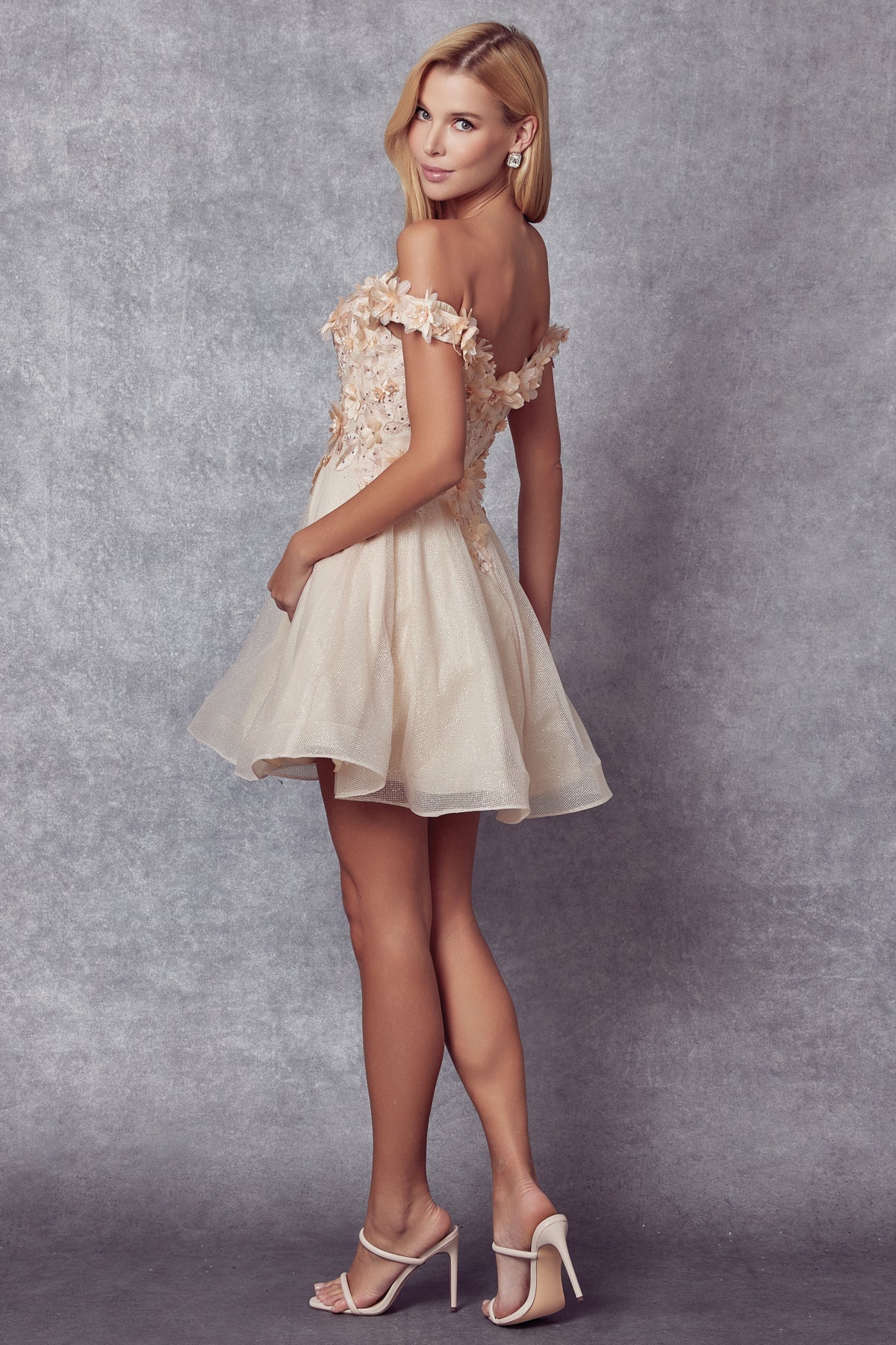 Ethereal Elegance: Floral Embroidered and Glitter Mesh Short Dress