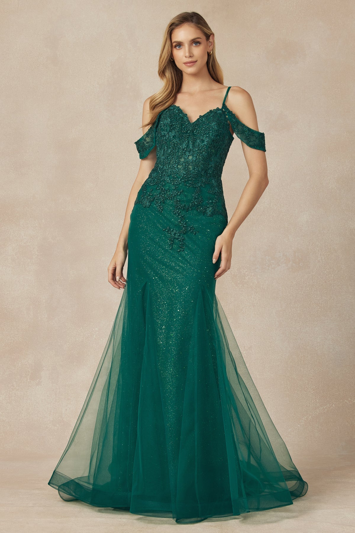 Enchanting Mesh Mermaid Gown for Unforgettable Occasions