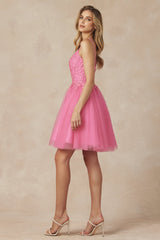 Divine Rose Floral Applique Babydoll Dress: A Feminine Masterpiece for Every Occasion