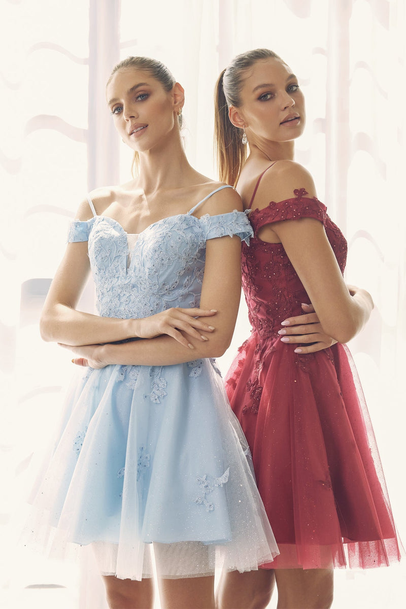 **Willow & Grace: Enchanting Off-the-Shoulder Lace Dress for Graceful Occasions**