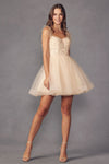 **Ethereal Elegance: Bohemian Sheer Bodice Short Dress with Feather Accents**