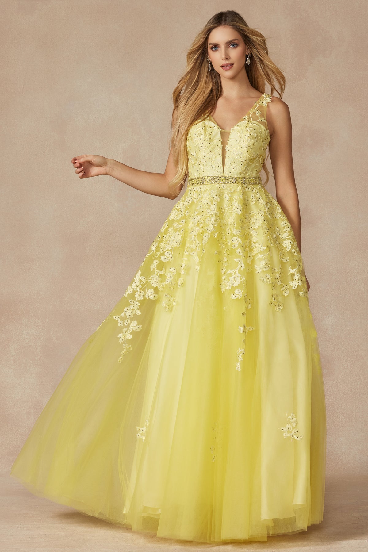 Enchanting Elegance: Floral AppliquÃ© Prom Ball Gown for a Magical Night