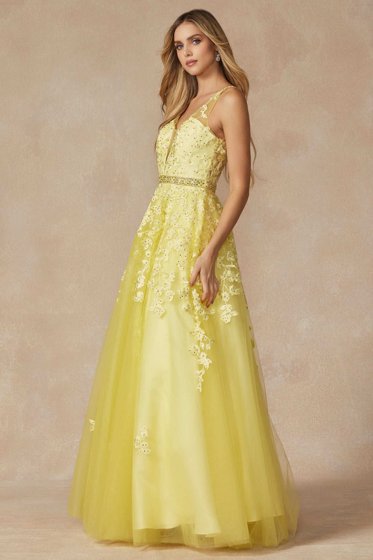 Enchanting Elegance: Floral AppliquÃ© Prom Ball Gown for a Magical Night