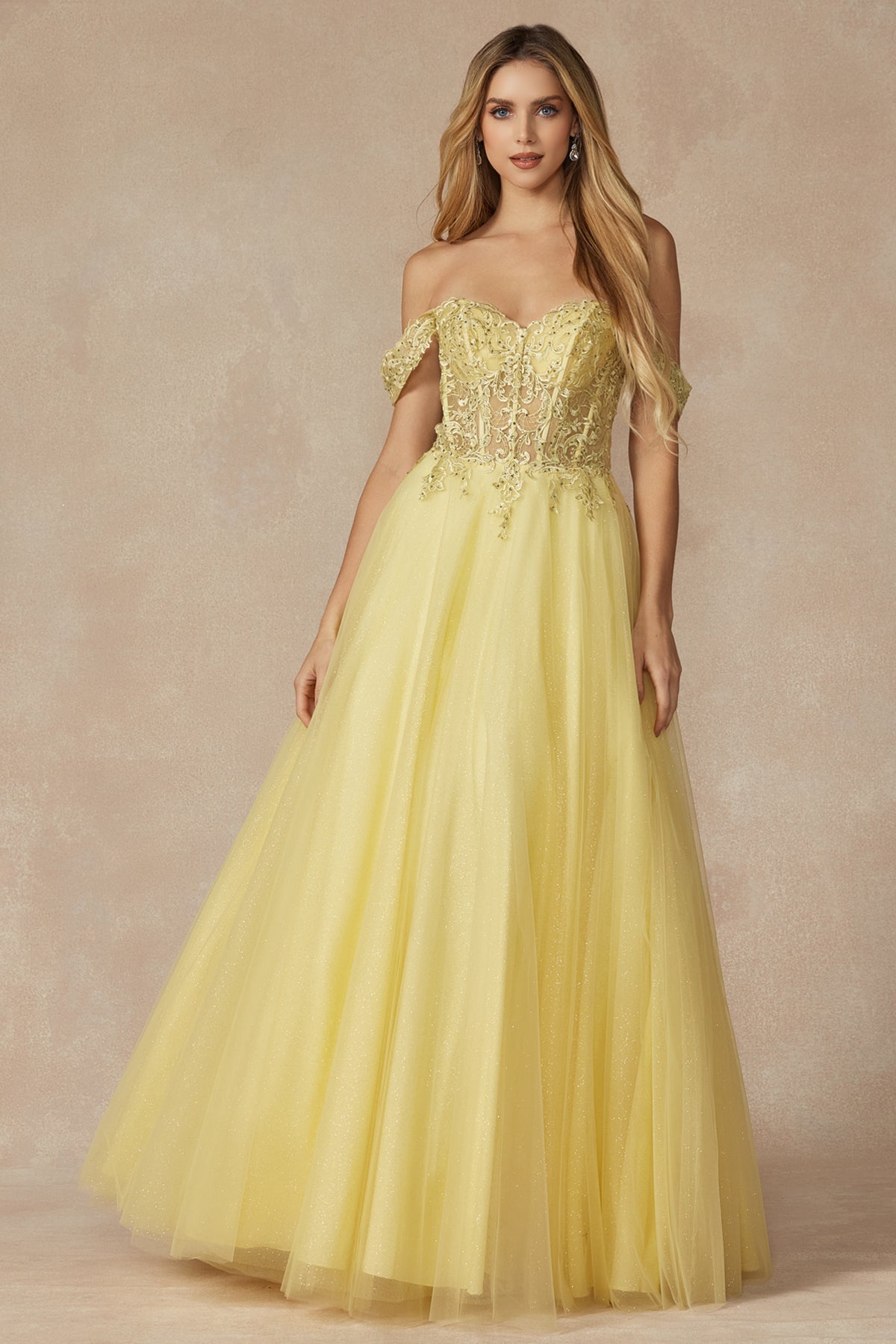 Enchanting Elegance Off-the-Shoulder Prom Gown: Shimmering Embroidered Tulle for Unforgettable Moments