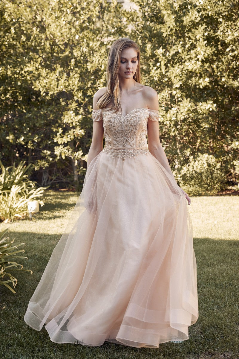 **Enchanting Elegance: Off-the-Shoulder Prom Dress by Enchanted Dreams**