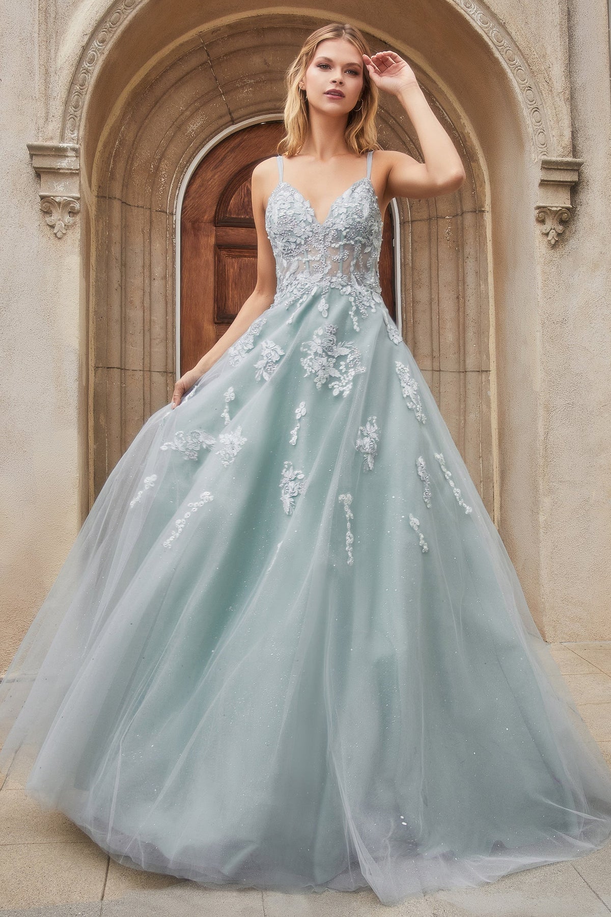 Enchanting Embroidered Ball Gown: A Regal Statement for Unforgettable Occasions