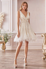 Shimmering Elegance: The Captivating Short Dress for Unforgettable Occasions