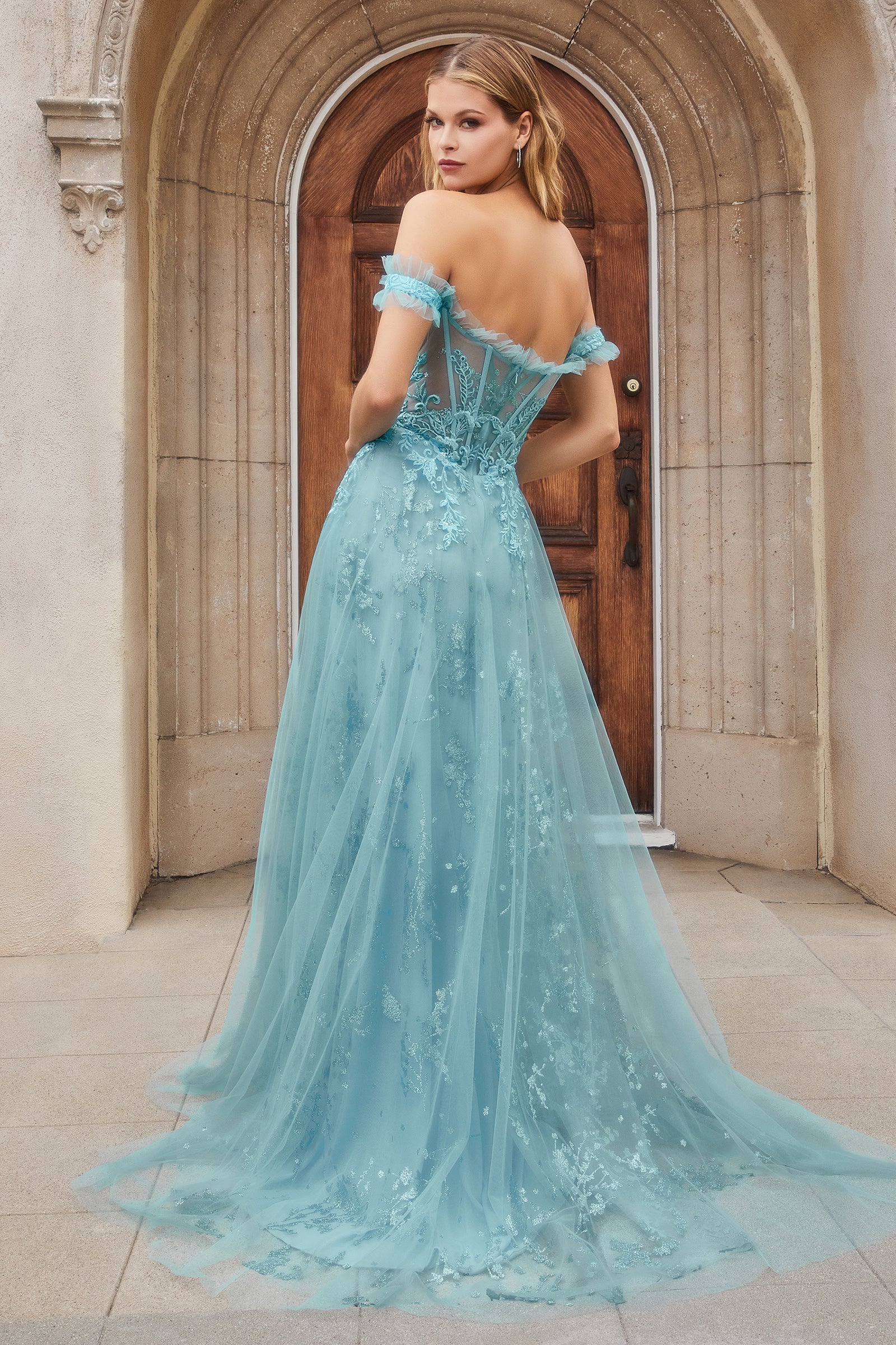 Entice the Night with Enchanting Evenings' Floral AppliquÃ© Gown