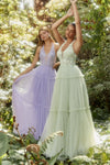 Allure's Enchanting Embellished Gown: A Symphony of Elegance for Every Occasion