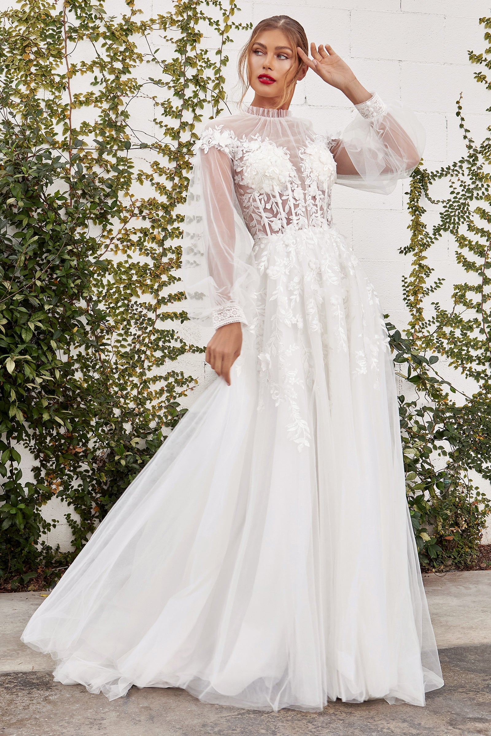 **Cinderella Divine A1074W: Enchanting Grace for Every Woman**