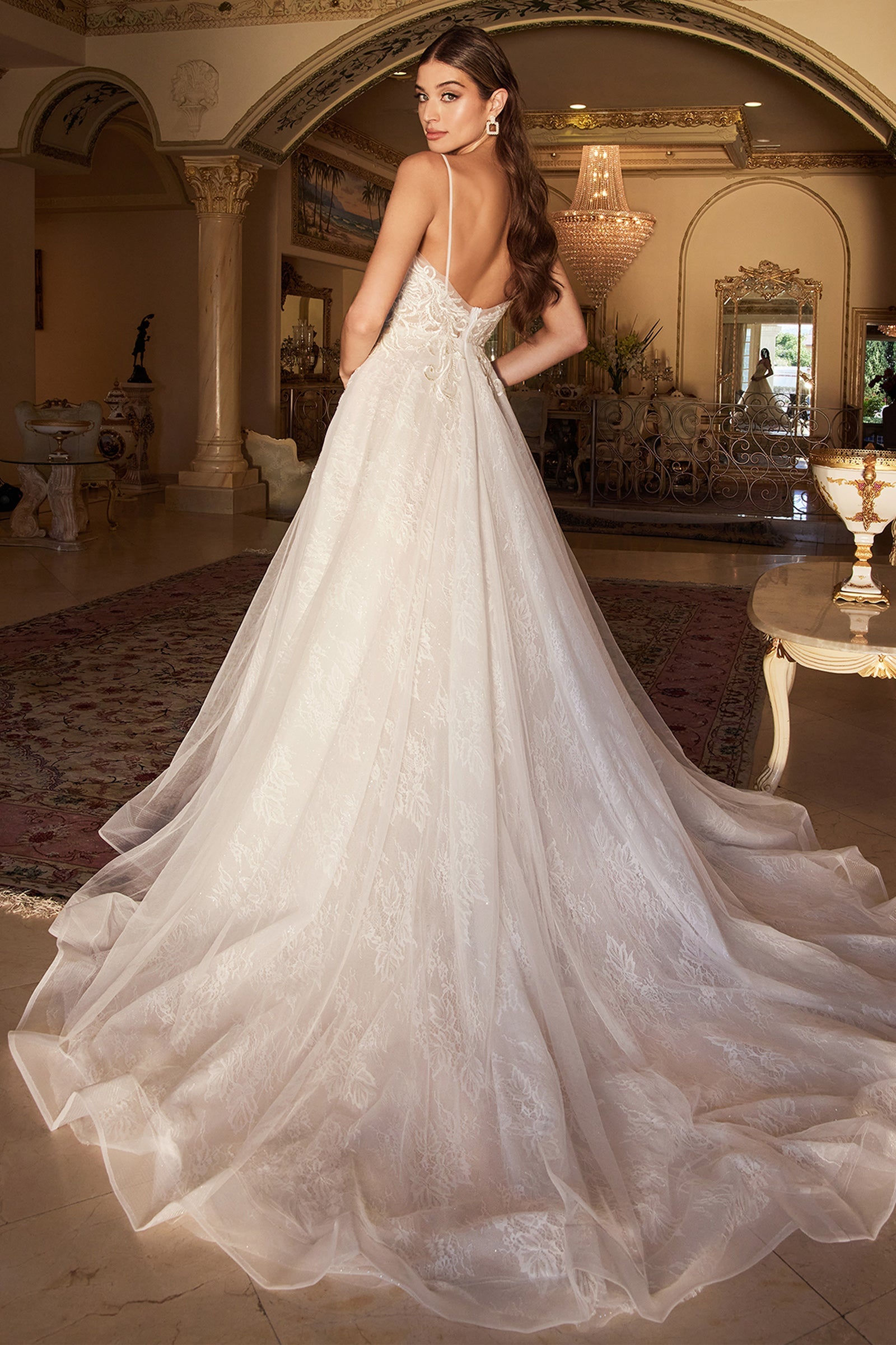 Cinderella Divine: Enchanting Lace and Tulle Gown for Unforgettable Occasions