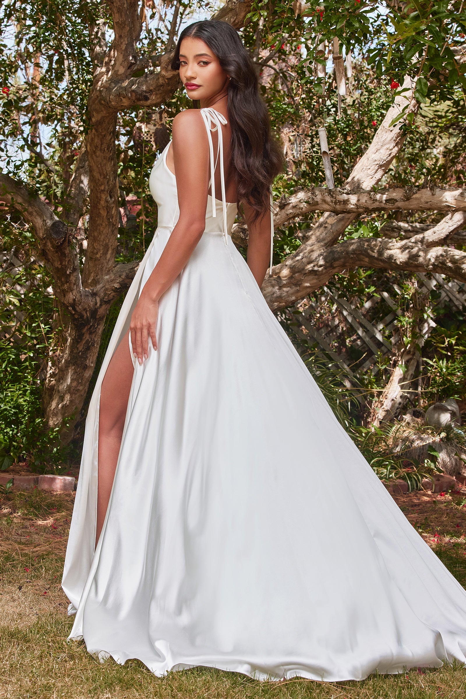 Cinderella Divine: Radiate Elegance in a Long Dress with Cowl Neckline and Captivating Slit