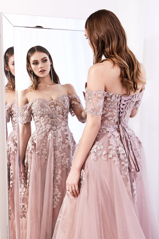 Cinderella Divine C20: Enchanting Lace and Rhinestone Masterpiece for Special Occasions
