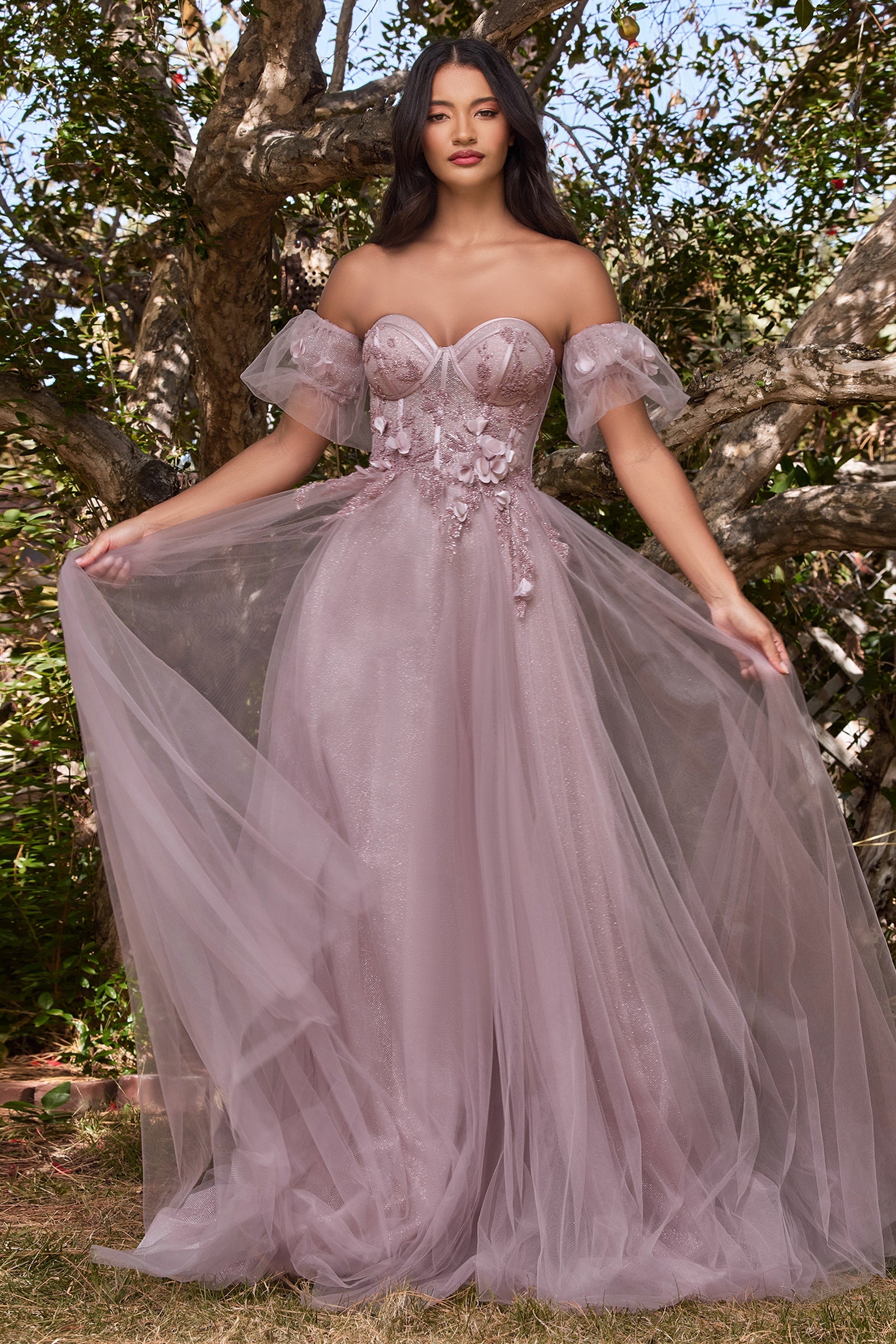 Unveil Your Enchantment: Cinderella Divine's Alluring Sheer Bodice Gown