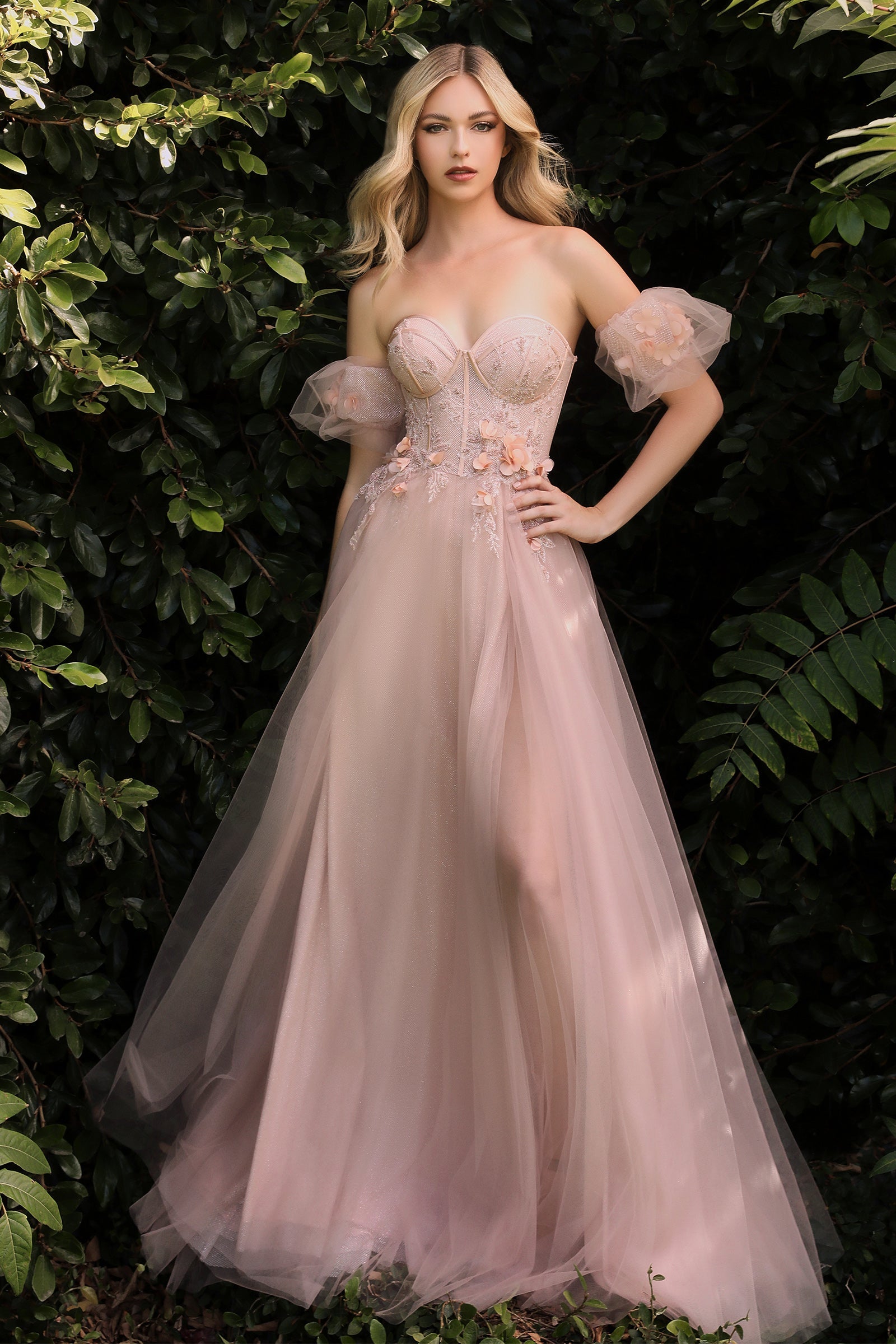 **Cinderella Divine's Enchanting Tulle Gown: Sheer Elegance for Special Occasions**