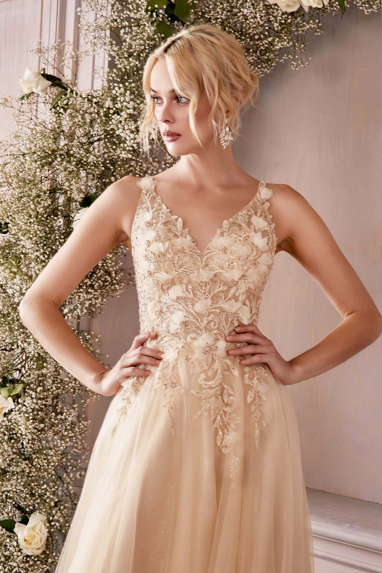 Enchanting Cinderella Divine Gown: Intricate Lace and Shimmering Beadwork for Timeless Elegance