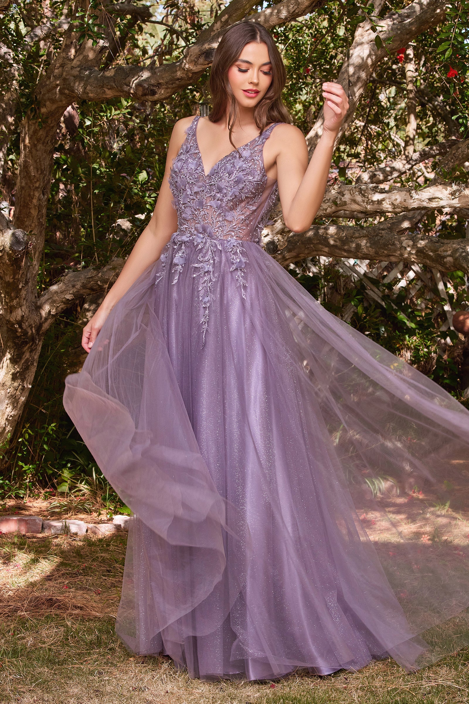 Enchanting Cinderella Divine Gown: Intricate Lace and Shimmering Beadwork for Timeless Elegance