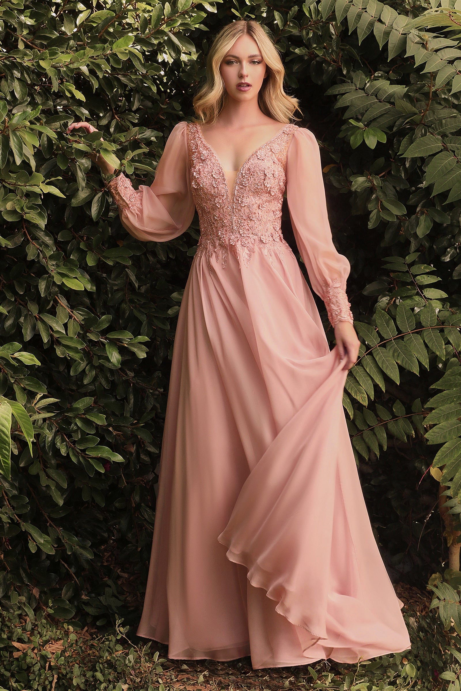 Enchanting Cinderella Divine Gown: Embroidered Lace and Alluring V-Neckline