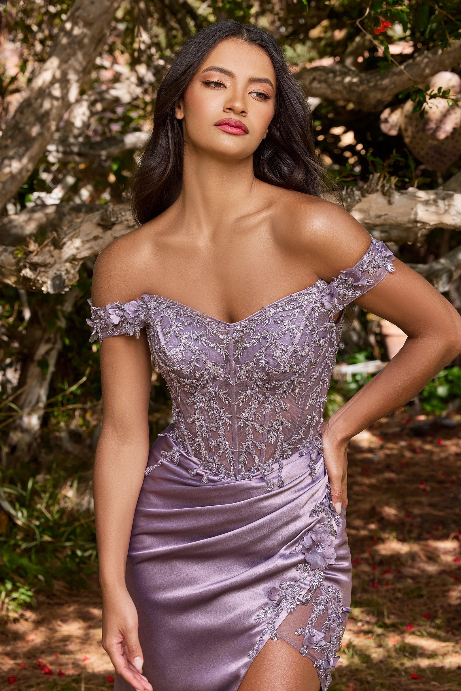 **Cinderella Divine's Enchanting Gown: A Symphony of Lace and Beads**