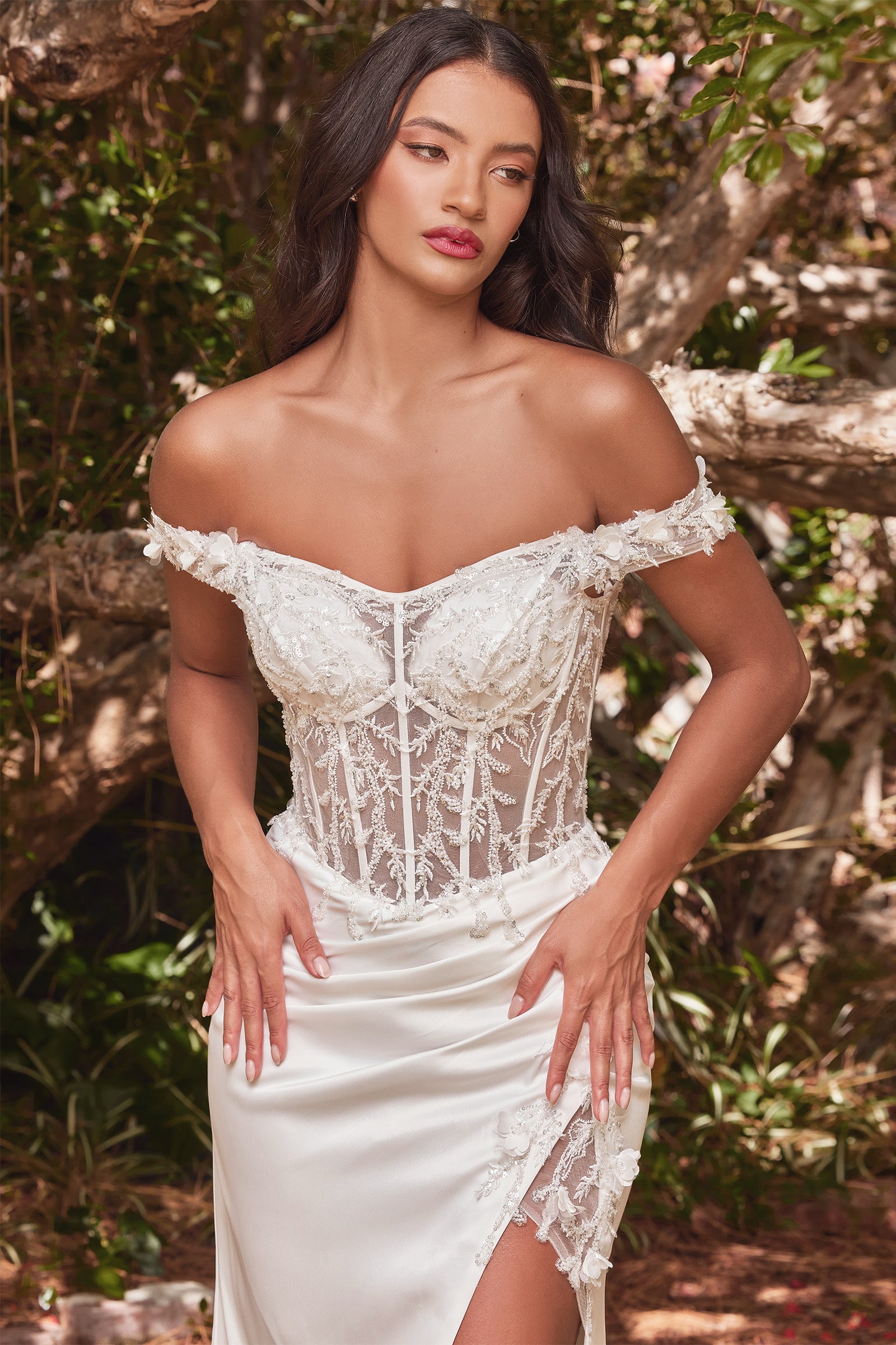 **Cinderella Divine: The Enchanted Off-Shoulder Corset Gown for Unforgettable Occasions**