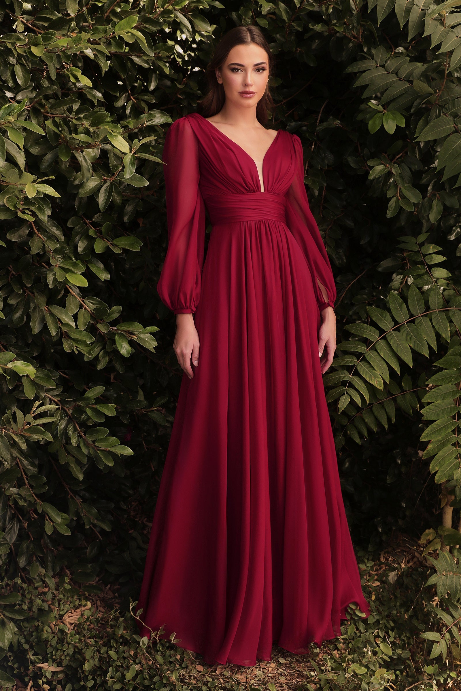 Enchanting Cinderella Divine: Embrace Elegance and Regality (CD0192)